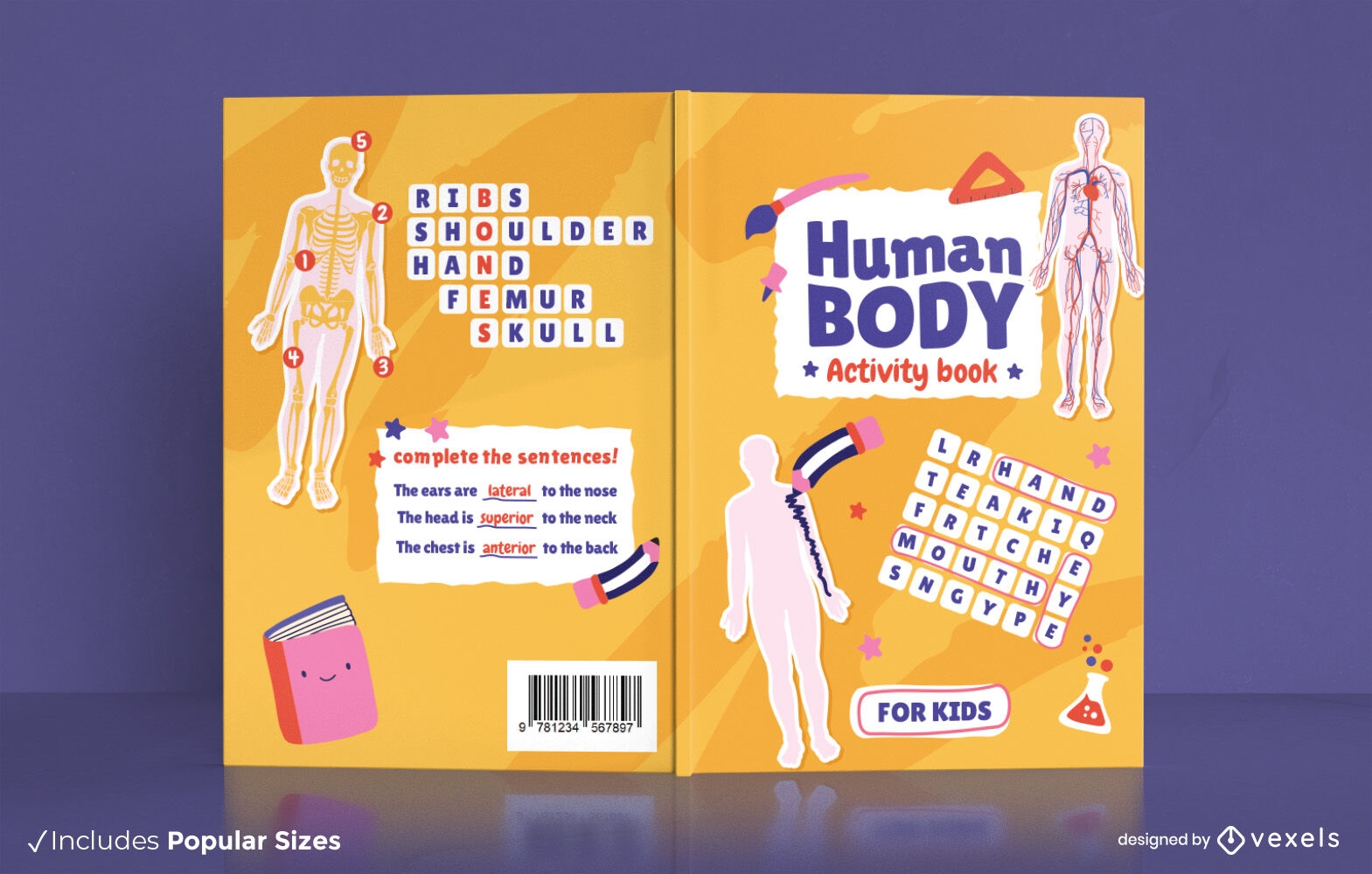 Dise?o de portada de libro de cuerpo humano de anatom?a