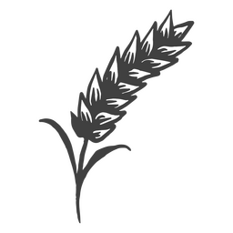 Image of barley to make beer PNG Design