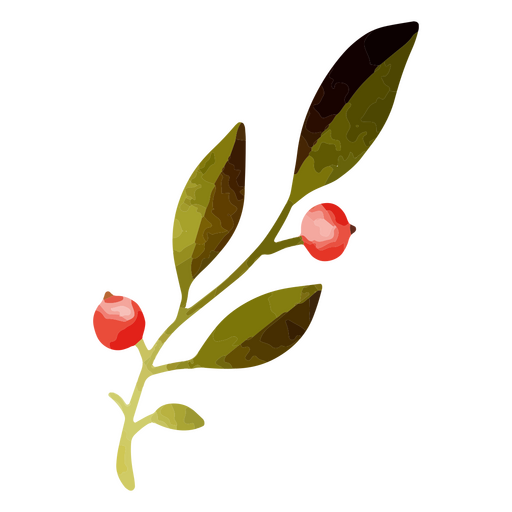 Thanksgiving berry cluster art PNG Design