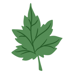 A close-up of a hop leaf PNG Design