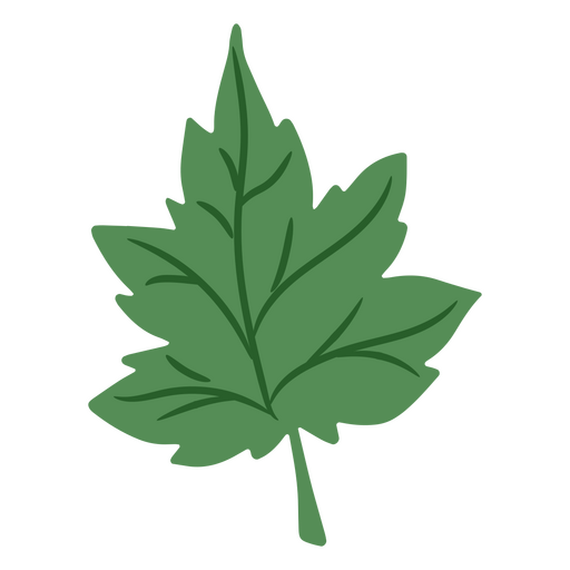 Um close-up de uma folha de lúpulo Desenho PNG