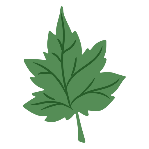 Un primer plano de una hoja de lúpulo Diseño PNG