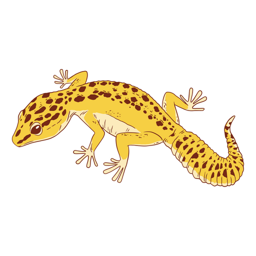 Uma curiosa lagartixa leopardo Desenho PNG