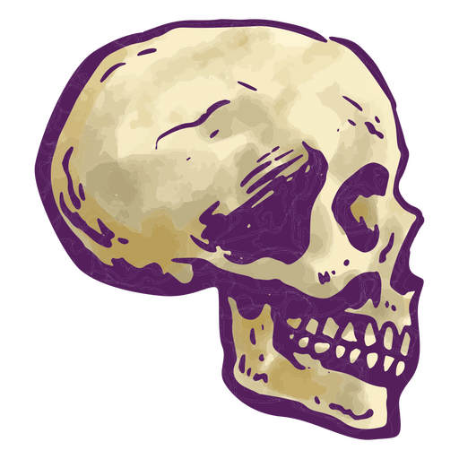 Um design com uma ilustração detalhada de um crânio Desenho PNG