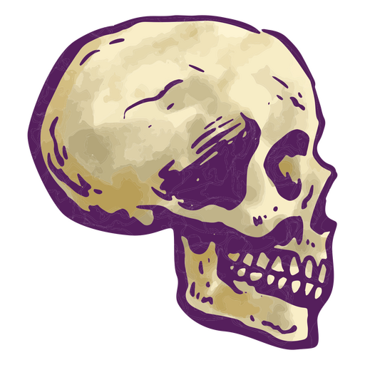 Un diseño con una ilustración detallada de una calavera. Diseño PNG