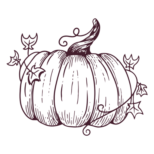 Calabaza dibujada a mano de acción de gracias Diseño PNG