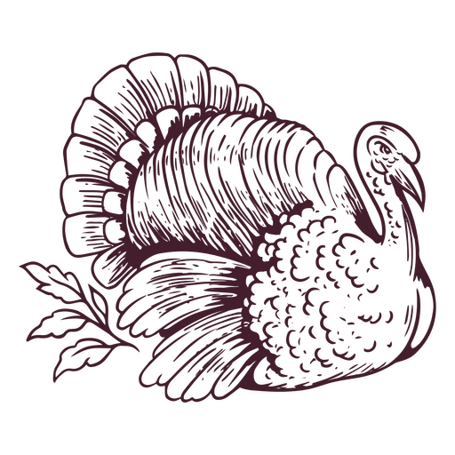 Turkey Holiday Animal PNG & SVG Design For T-Shirts
