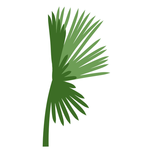 palm tree leaves clipart