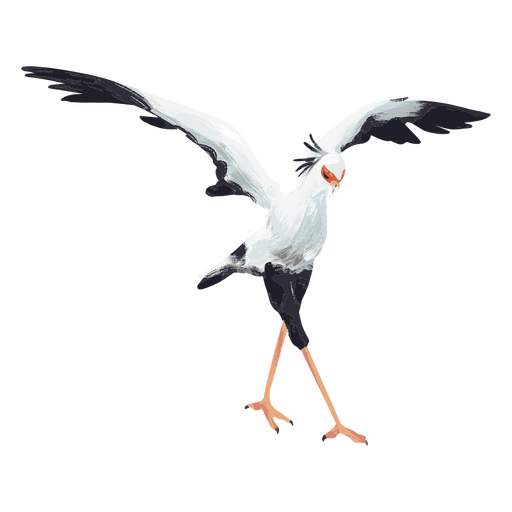 Secretarybird gracefully flaps its wings PNG Design