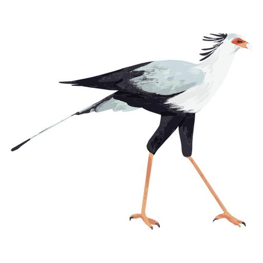 Gracioso pássaro secretário passeando Desenho PNG