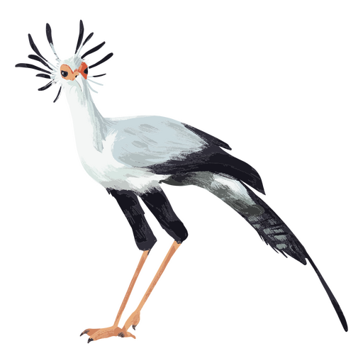 Sekretärvogel, der seine großartigen Flügel zeigt PNG-Design