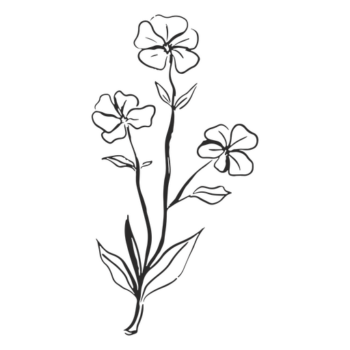 gráfico de flores rústicas Desenho PNG