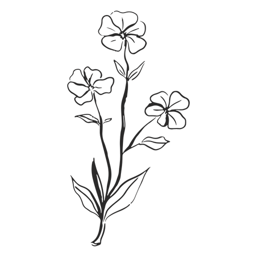 Rustikale Blumengrafik PNG-Design