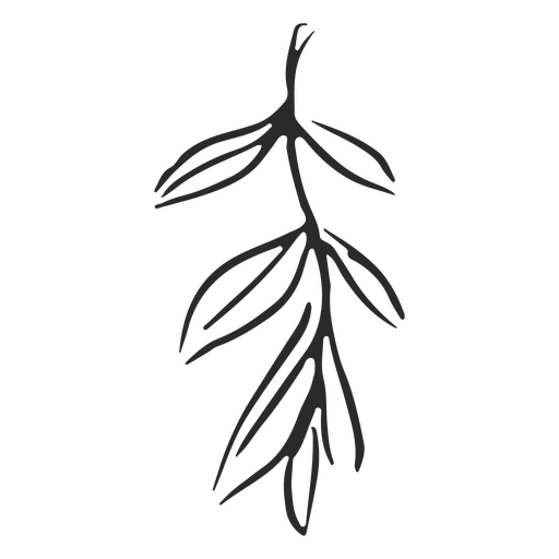 Leaf hand drawn graphic PNG Design