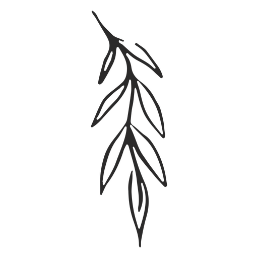 Hand drawn plant graphics PNG Design