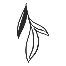 Rustic plant illustrations PNG Design