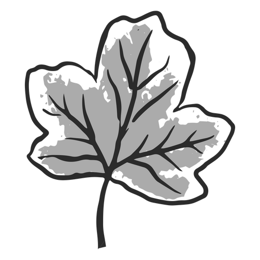 Diseño en blanco y negro de una hoja de árbol. Diseño PNG