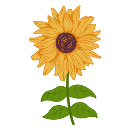 Herrliche Sonnenblumenaussicht PNG-Design
