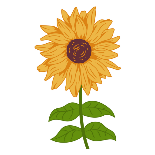 Herrliche Sonnenblumenaussicht PNG-Design
