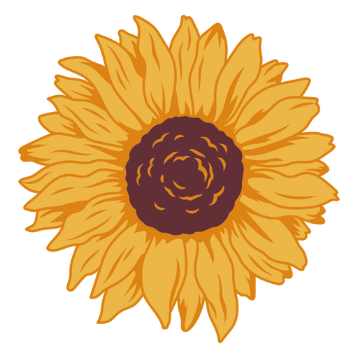 Herrliche Sonnenblumenansicht PNG-Design