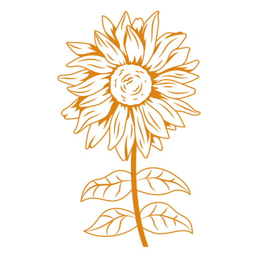 Dazzling sunflower PNG Design