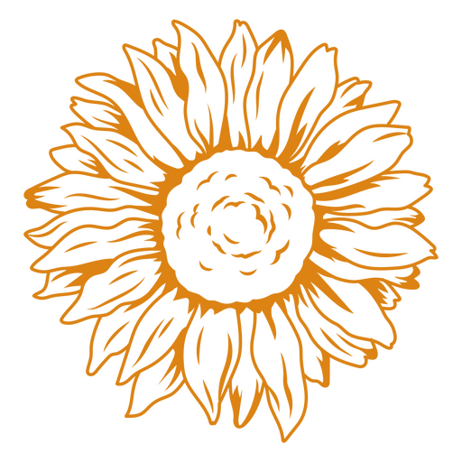 Bezaubernde Sonnenblumenansicht PNG-Design