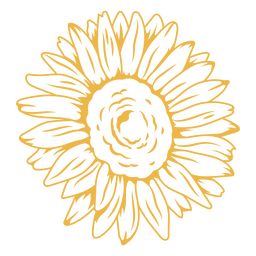 Zarte Sonnenblumenansicht PNG-Design