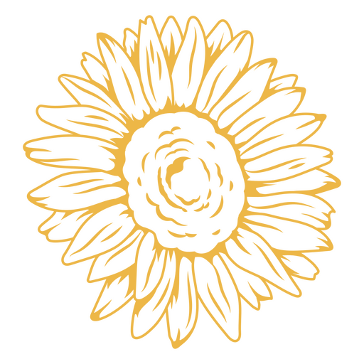 Delicate sunflower view PNG Design