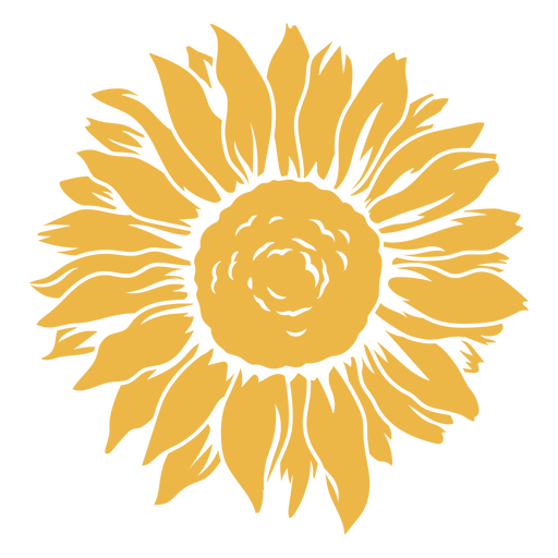 Ehrfurchtgebietende Aussicht auf Sonnenblumen PNG-Design