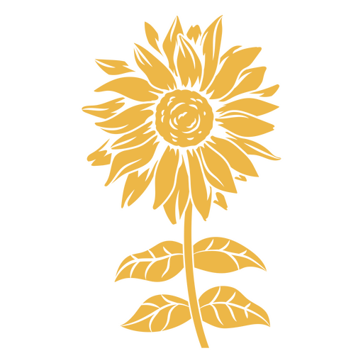Sunflower blooms PNG Design