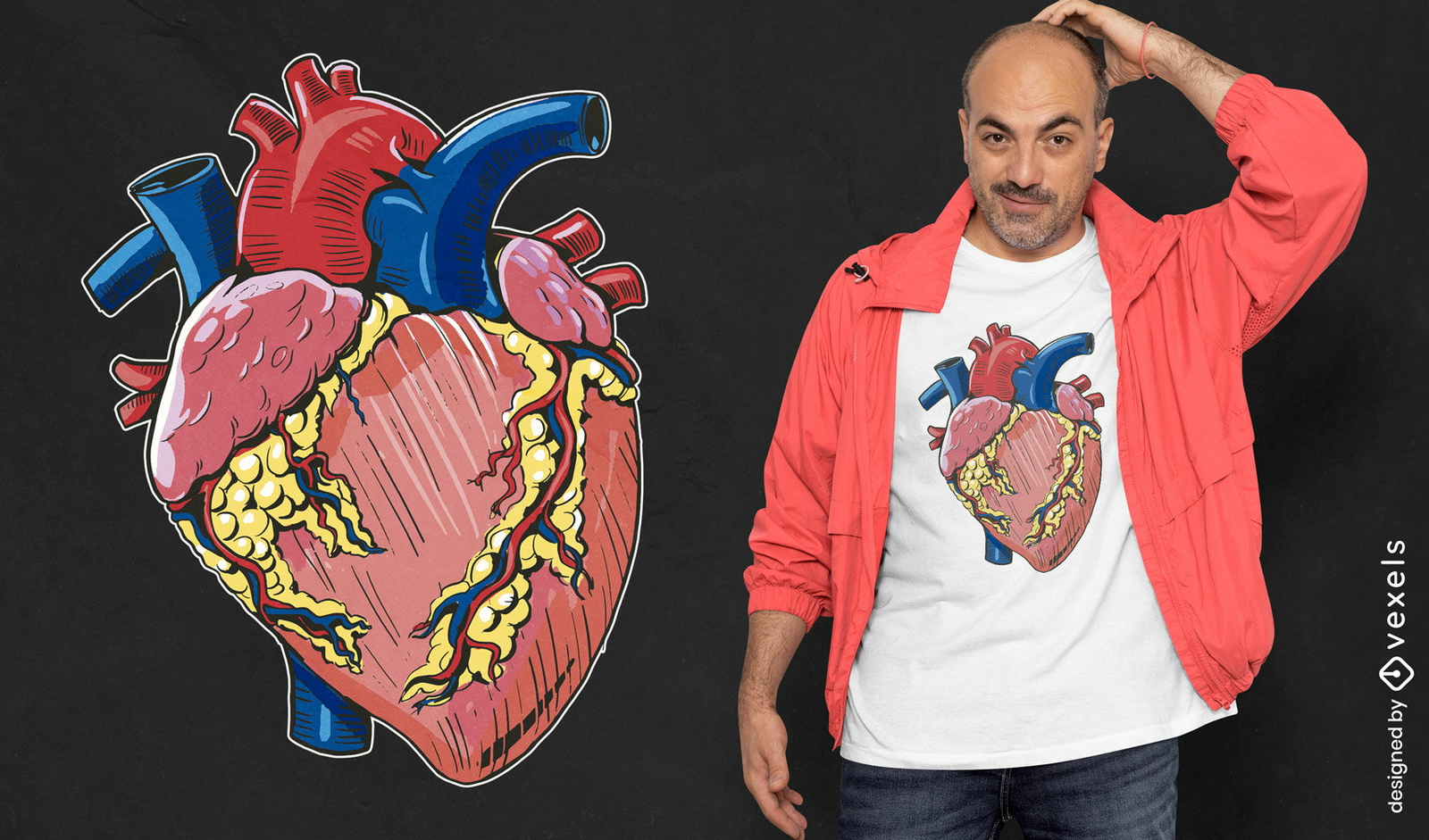 Diseño de camiseta de corazón anatómico.