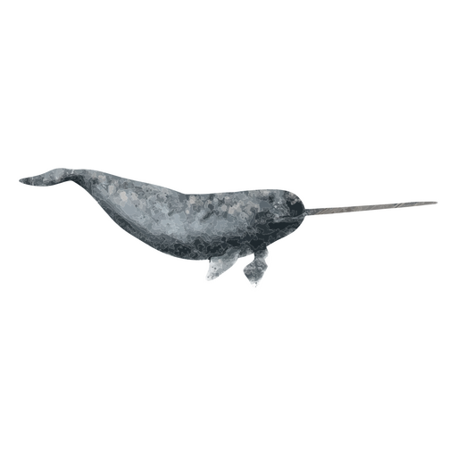 Dibujo de acuarela de ballena Diseño PNG