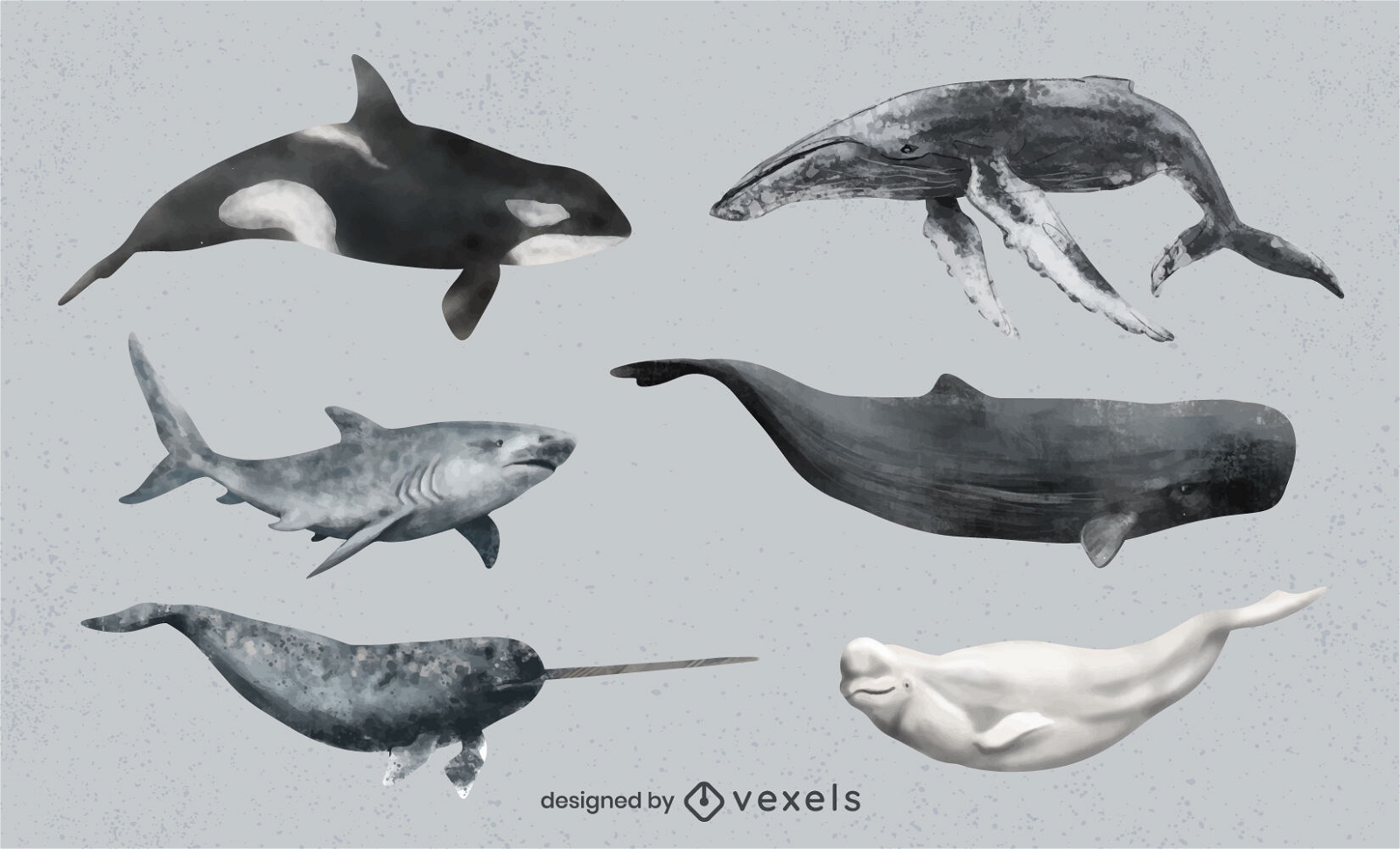 conjunto de baleias em aquarela