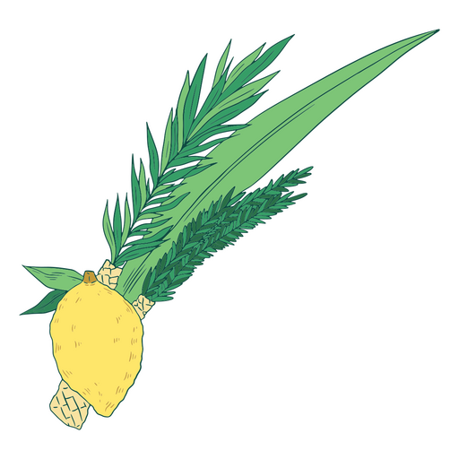 Limoeiro com folhas esverdeadas Desenho PNG