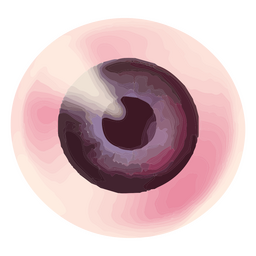 Ojo vigilante que observa el Universo Diseño PNG
