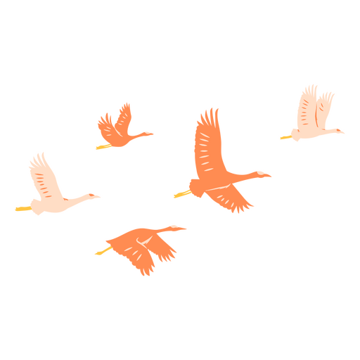 Adesivo de parede com padrão de pássaros Desenho PNG