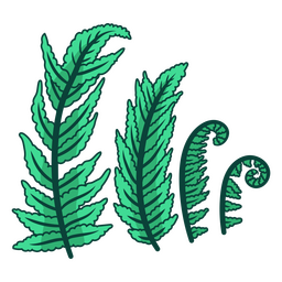 decalque de parede de samambaia verde Desenho PNG