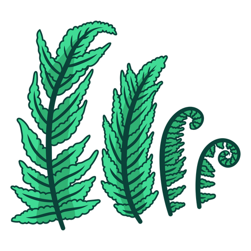 Green fern wall decal PNG Design