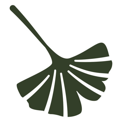 Design de folhas verdes de erva Ginkgo Desenho PNG