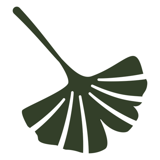 Diseño de hojas verdes de hierba ginkgo Diseño PNG