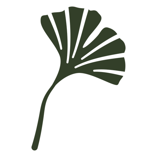 Ilustración de hojas de árbol de ginkgo Diseño PNG