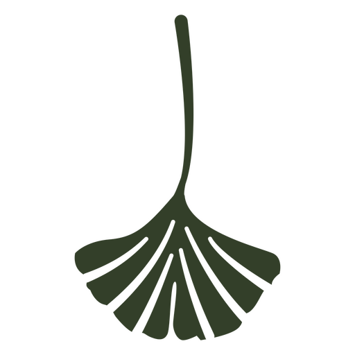 Padrão de folha de ginkgo Desenho PNG