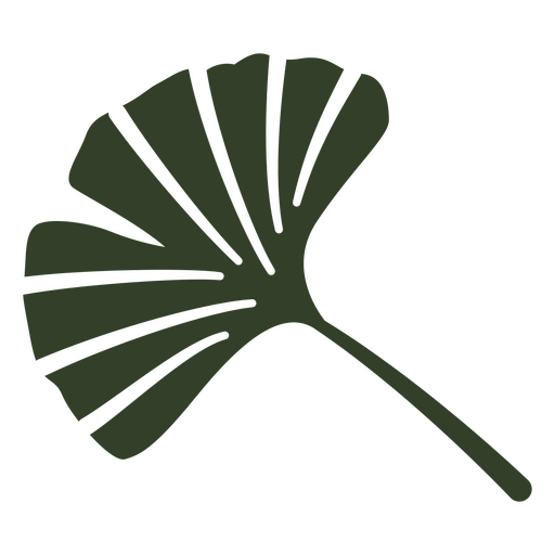 Design de folhas verdes de erva Ginkgo Desenho PNG