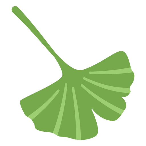 Design de folhas de árvore de Ginkgo Desenho PNG