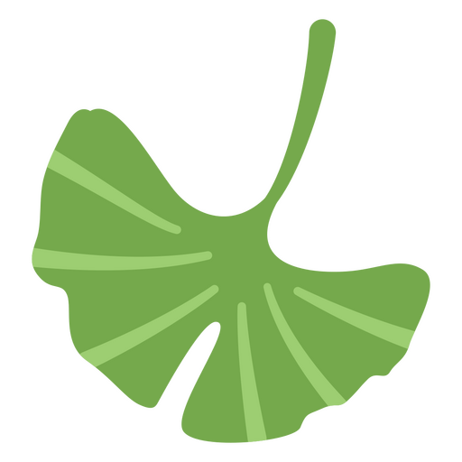 Ginkgobaum verlässt Vektor PNG-Design