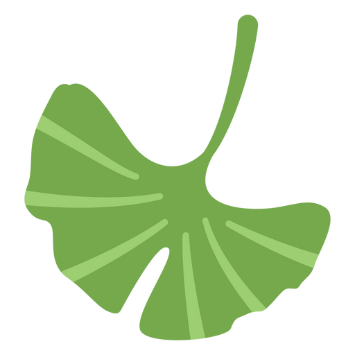 vector de hojas de árbol de ginkgo Diseño PNG