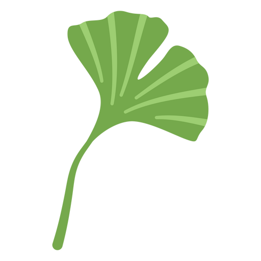 Diseño de follaje de hierba de ginkgo biloba Diseño PNG