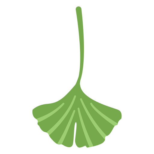 Vector de hojas verdes de ?rbol de ginkgo Diseño PNG