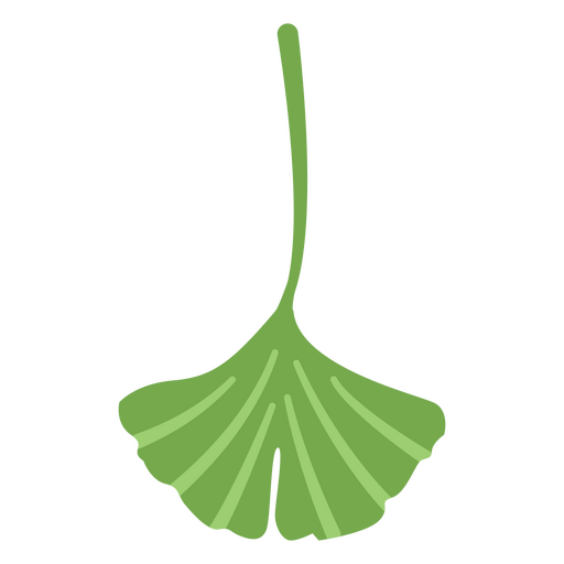 Vector de hojas verdes de árbol de ginkgo Diseño PNG