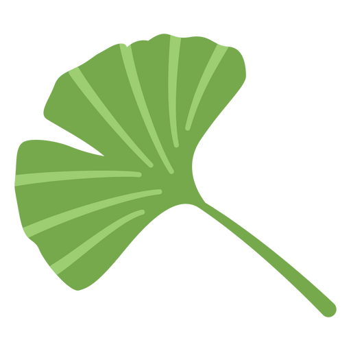 Ginkgoblatt für Design PNG-Design